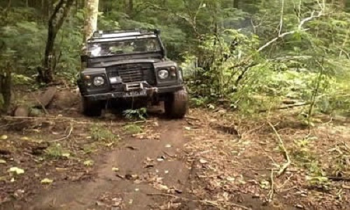jeep - safari tours