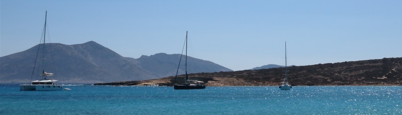 GREEK ACTIVITIES